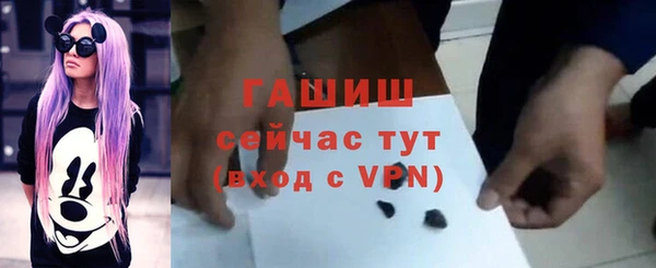 ECSTASY Покачи