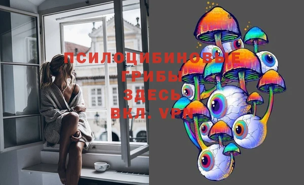ECSTASY Покачи
