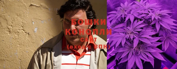 ECSTASY Покачи