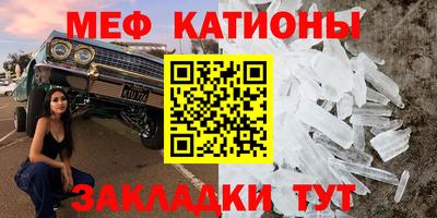 прущие грибы Рязань