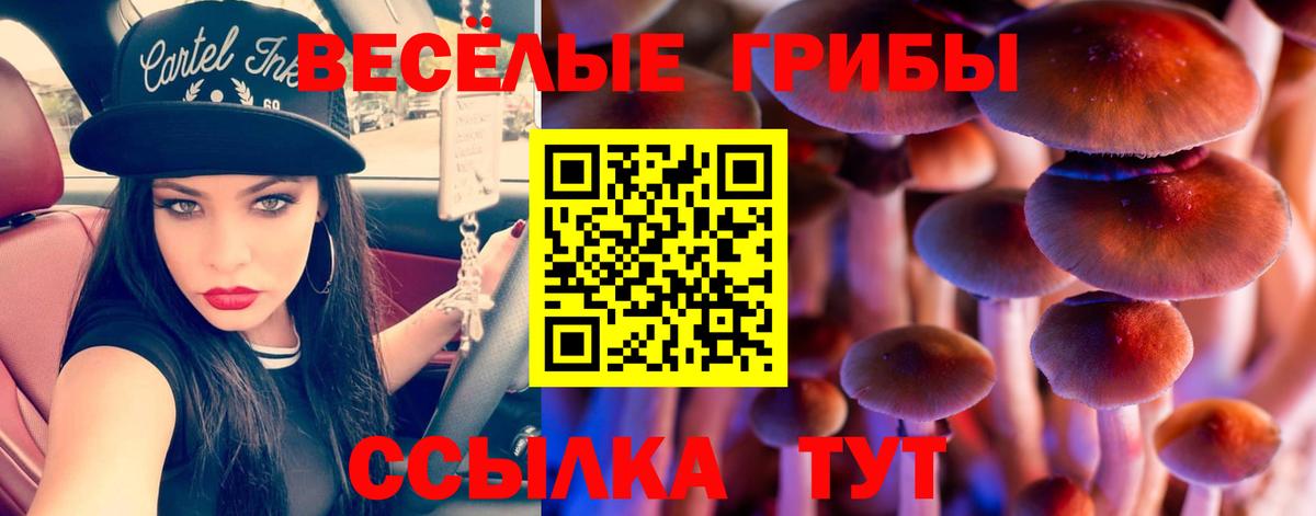 Псилоцибиновые грибы прущие грибы  Вход с VPN  где продают наркотики  Ялта 